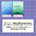 13.webp