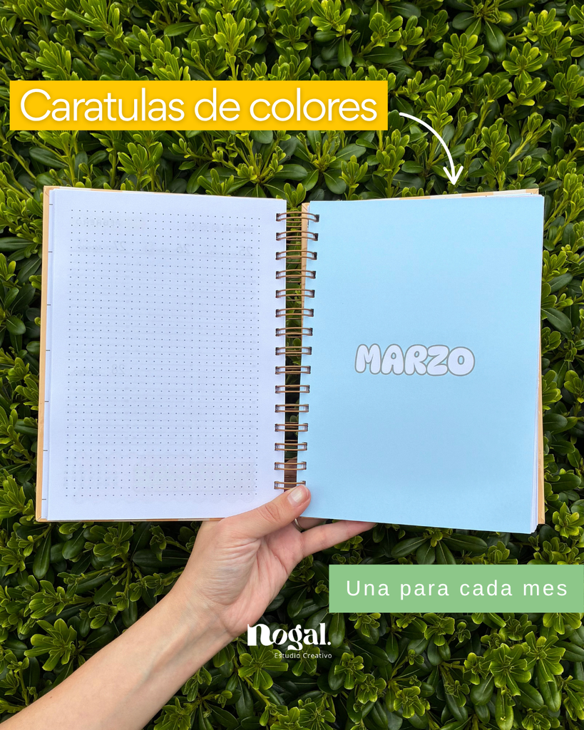 Carátulas de colores