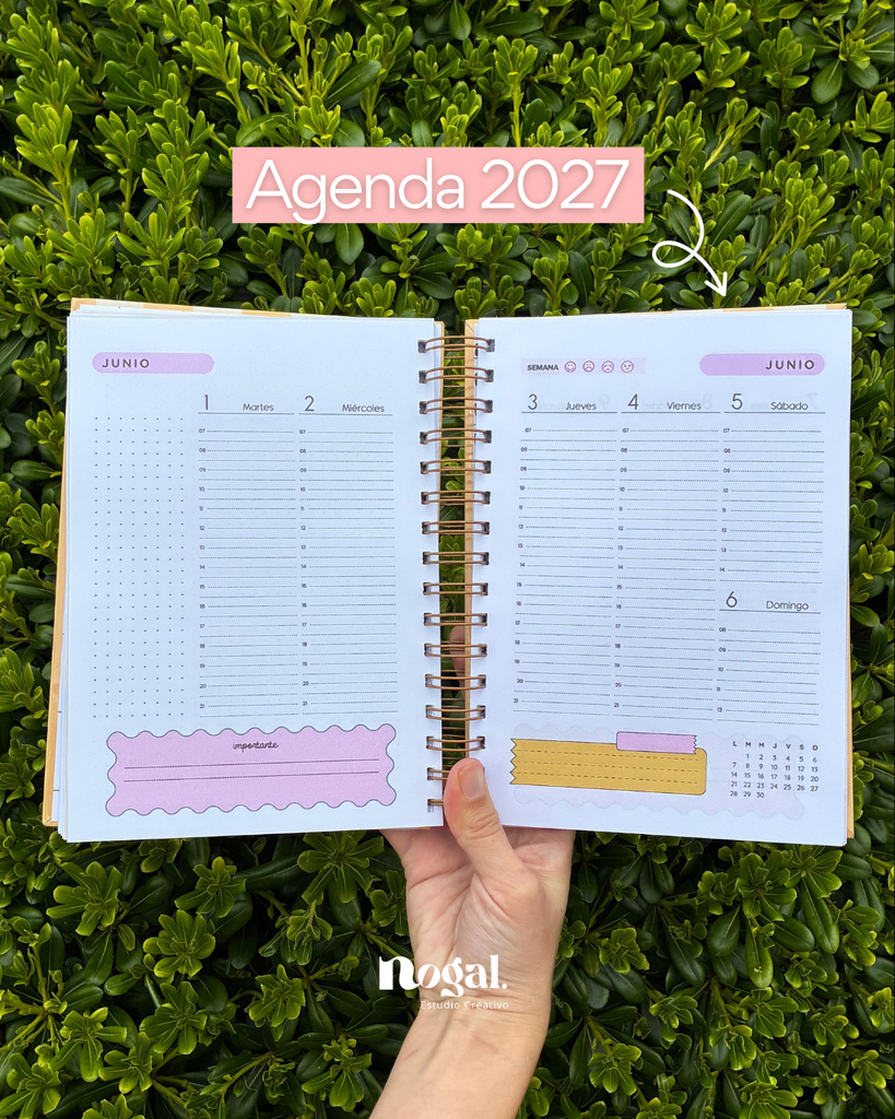 Organización semanal