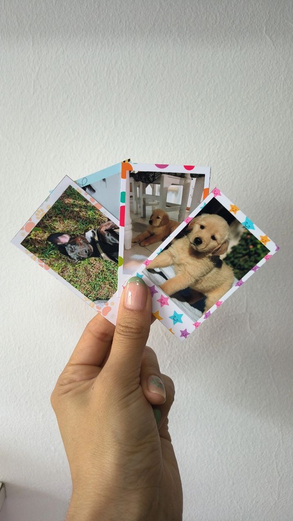 Pack Mini Polaroid (40 unidades)